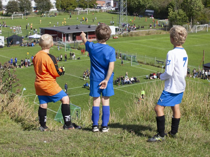 Hovet Cup